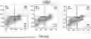 Fig. 43 - METHODS TO INCREASE IMMUNOGENICITY OF RDRP