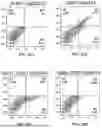 Fig. 50 - METHODS TO INCREASE IMMUNOGENICITY OF RDRP