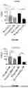 Fig. 05 - BIOMARKERS AND METHODS FOR TREATING NSCLC