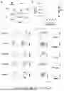 Fig. 04 - TM4SF1 CAR CELLS AND METHODS OF USE THEREOF