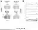 Fig. 06 - TM4SF1 CAR CELLS AND METHODS OF USE THEREOF