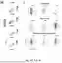 Fig. 09 - TM4SF1 CAR CELLS AND METHODS OF USE THEREOF