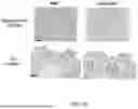 Fig. 20 - TM4SF1 CAR CELLS AND METHODS OF USE THEREOF