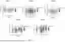 Fig. 23 - TM4SF1 CAR CELLS AND METHODS OF USE THEREOF