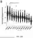 Fig. 25 - TM4SF1 CAR CELLS AND METHODS OF USE THEREOF