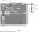 Fig. 26 - TM4SF1 CAR CELLS AND METHODS OF USE THEREOF