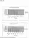 Fig. 05 - PHOTODYNAMIC THERAPY COMPOSITIONS AND METHODS OF USE THEREOF