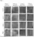 Fig. 07 - PHOTODYNAMIC THERAPY COMPOSITIONS AND METHODS OF USE THEREOF