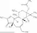 Fig. 20 - COMPOUNDS AND METHODS FOR THE TREATMENT AND PREVENTION OF FIBROTIC DISEASE STATES AND CANCER