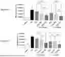 Fig. 47 - PHARMACEUTICAL AGENT CONJUGATES TO MODULATE MACROPHAGE AND INFLAMMATORY FUNCTIONS AND USES THEREOF