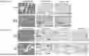 Fig. 54 - PHARMACEUTICAL AGENT CONJUGATES TO MODULATE MACROPHAGE AND INFLAMMATORY FUNCTIONS AND USES THEREOF