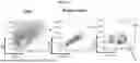 Fig. 64 - PHARMACEUTICAL AGENT CONJUGATES TO MODULATE MACROPHAGE AND INFLAMMATORY FUNCTIONS AND USES THEREOF