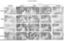 Fig. 78 - PHARMACEUTICAL AGENT CONJUGATES TO MODULATE MACROPHAGE AND INFLAMMATORY FUNCTIONS AND USES THEREOF