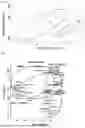 Fig. 02 - COMPOSITION FOR PREVENTING AND/OR TREATING A PATHOLOGICAL DYSBIOSIS OF THE INTESTINAL MICROBIOTIA
