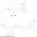 Fig. 235 - SELF-STABILIZING LINKER CONJUGATES