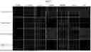 Fig. 07 - BLOOD-NERVE BARRIER TARGETING CONJUGATES AND METHODS OF USE