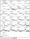 Fig. 10 - LRRC-15-BINDING PROTEIN CONSTRUCTS AND USES THEREOF