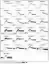 Fig. 11 - LRRC-15-BINDING PROTEIN CONSTRUCTS AND USES THEREOF