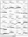Fig. 23 - LRRC-15-BINDING PROTEIN CONSTRUCTS AND USES THEREOF