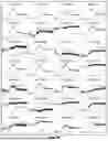 Fig. 29 - LRRC-15-BINDING PROTEIN CONSTRUCTS AND USES THEREOF