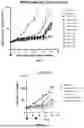 Fig. 30 - LRRC-15-BINDING PROTEIN CONSTRUCTS AND USES THEREOF