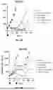 Fig. 31 - LRRC-15-BINDING PROTEIN CONSTRUCTS AND USES THEREOF