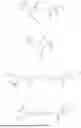 Fig. 476 - ANTIBODY DRUG CONJUGATES COMPRISING STING AGONISTS