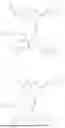 Fig. 529 - ANTIBODY DRUG CONJUGATES COMPRISING STING AGONISTS