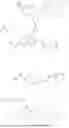 Fig. 543 - ANTIBODY DRUG CONJUGATES COMPRISING STING AGONISTS