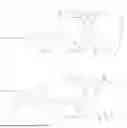 Fig. 615 - ANTIBODY DRUG CONJUGATES COMPRISING STING AGONISTS