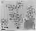 Fig. 01 - Nanoclusters Functionalized with Adenosine Triphosphate or an Analogue and Their Use