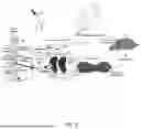 Fig. 03 - Nanoclusters Functionalized with Adenosine Triphosphate or an Analogue and Their Use