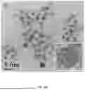Fig. 07 - Nanoclusters Functionalized with Adenosine Triphosphate or an Analogue and Their Use
