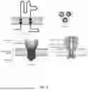 Fig. 08 - Nanoclusters Functionalized with Adenosine Triphosphate or an Analogue and Their Use