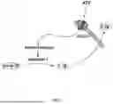 Fig. 14 - Nanoclusters Functionalized with Adenosine Triphosphate or an Analogue and Their Use