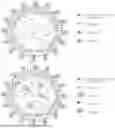 Fig. 01 - METH0DS OF ADMINISTERING LIPID NANOPARTICLES INCLUDING POLY(ETHYLOXAZOLINE)-LIPID CONJUGATES WITHOUT RAISING IMMUNE RESPONSE TO POLYMER