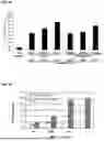 Fig. 02 - POLYINOSINIC- POLYCYTIDYLIC ACID COMPOSITIONS AND METHODS OF MAKING SAME