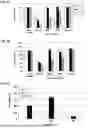 Fig. 09 - POLYINOSINIC- POLYCYTIDYLIC ACID COMPOSITIONS AND METHODS OF MAKING SAME
