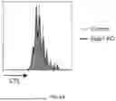 Fig. 11 - METHODS AND COMPOSITIONS FOR TREATING CANCERS BY MODULATING THE EXPRESSION AND/OR ACTIVITY OF STUB1