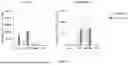 Fig. 16 - METHODS AND COMPOSITIONS FOR TREATING CANCERS BY MODULATING THE EXPRESSION AND/OR ACTIVITY OF STUB1