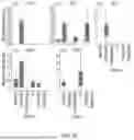 Fig. 13 - CAPSID VARIANTS AND METHODS OF USING THE SAME