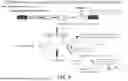 Fig. 18 - METHOD FOR TREATMENT OF MYOTONIC DYSTROPHY COMBINING PROTEIN EXPRESSION AND RNA INTERFERENCE VECTOR DELIVERY WITH TISSUE DETARGETING