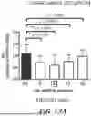 Fig. 28 - METHOD FOR TREATMENT OF MYOTONIC DYSTROPHY COMBINING PROTEIN EXPRESSION AND RNA INTERFERENCE VECTOR DELIVERY WITH TISSUE DETARGETING