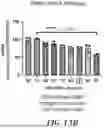 Fig. 29 - METHOD FOR TREATMENT OF MYOTONIC DYSTROPHY COMBINING PROTEIN EXPRESSION AND RNA INTERFERENCE VECTOR DELIVERY WITH TISSUE DETARGETING