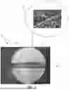 Fig. 03 - WOUND DRESSING WITH SELECTIVE AND DYNAMIC TRANSPARENCY