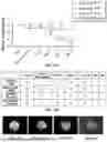 Fig. 11 - APPARATUS FOR DEGRADATION OF AN ACOUSTICALLY RESPONSIVE BIOMATERIAL