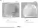 Fig. 07 - ENHANCED OSTEOINDUCTIVE COMPOSITIONS, SYSTEMS, AND METHODS OF MANUFACTURE