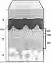 Fig. 01 - DERMIS DERIVED ALLOGRAFTS AND METHODS FOR PREPARING SAME