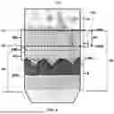 Fig. 05 - DERMIS DERIVED ALLOGRAFTS AND METHODS FOR PREPARING SAME