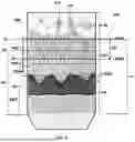 Fig. 06 - DERMIS DERIVED ALLOGRAFTS AND METHODS FOR PREPARING SAME